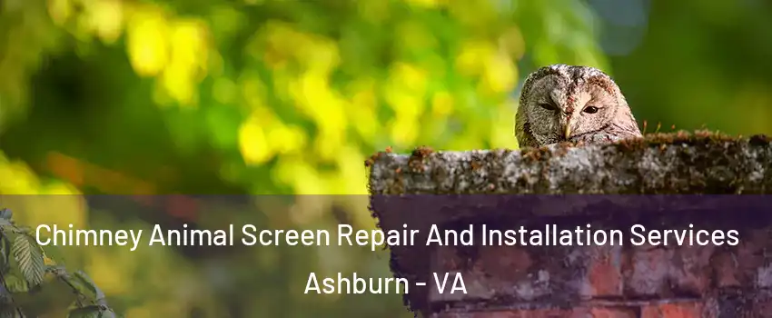  Chimney Animal Screen Repair And Installation Services Ashburn - VA