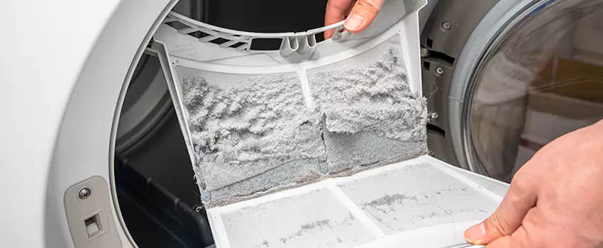Best Dryer Lint Removal Company in Ashburn, Virginia