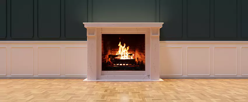 Napoleon Electric Fireplaces Inspection Service in Ashburn, Virginia