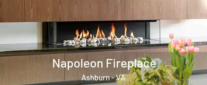  Napoleon Fireplace Ashburn - VA